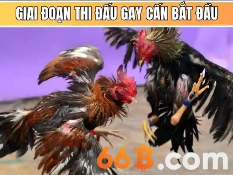 66b trong toán học và biến số