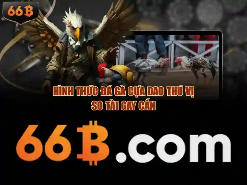 code 66b – Khởi nguồn trải nghiệm code 66b đầy cảm hứng