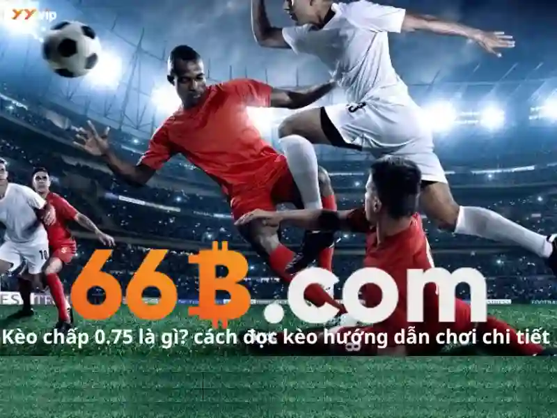 Thách thức và chi phí của 66B