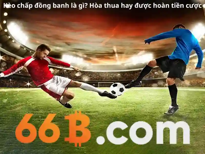 66B: Mô hình ngôn ngữ 66 tỷ tham số và tiềm năng