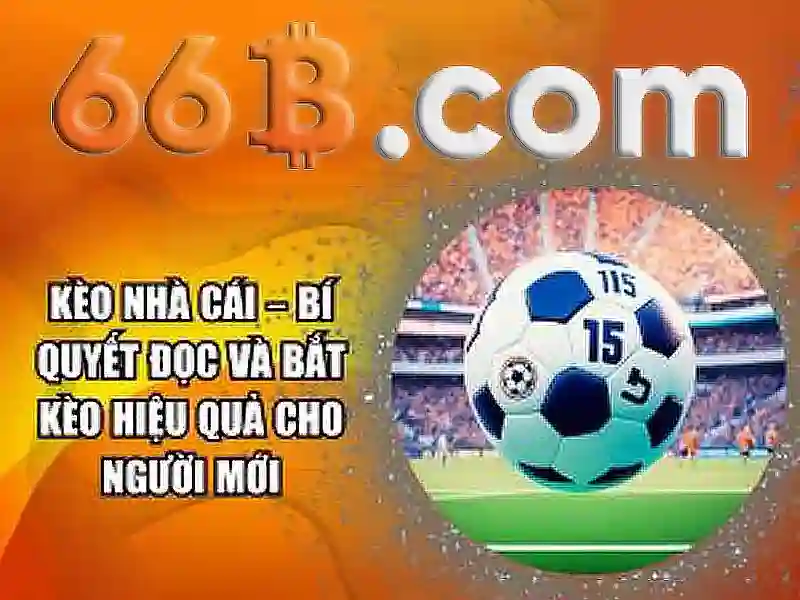 Tương lai của 66b trong công nghệ
