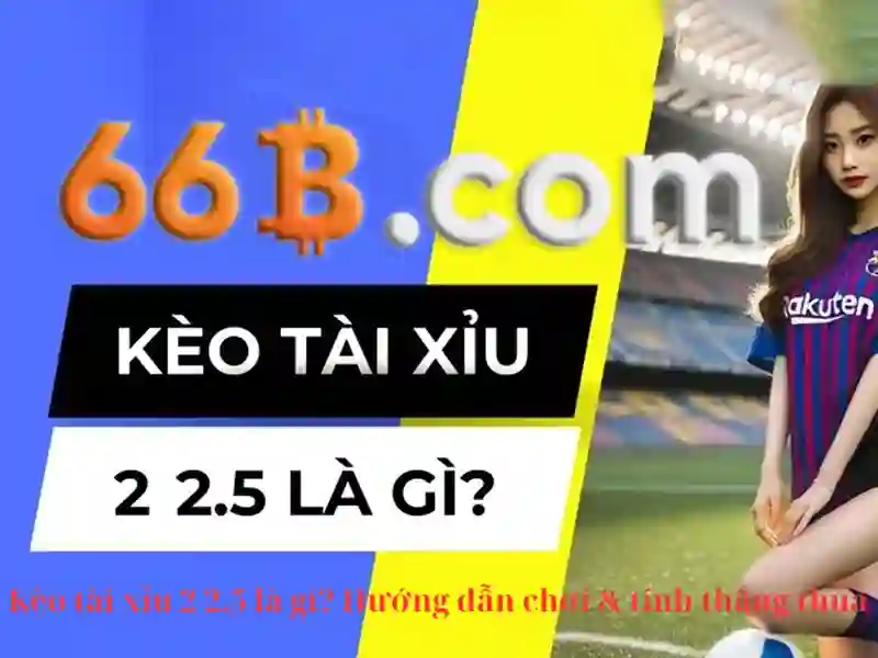 Đặc điểm nổi bật của 66b