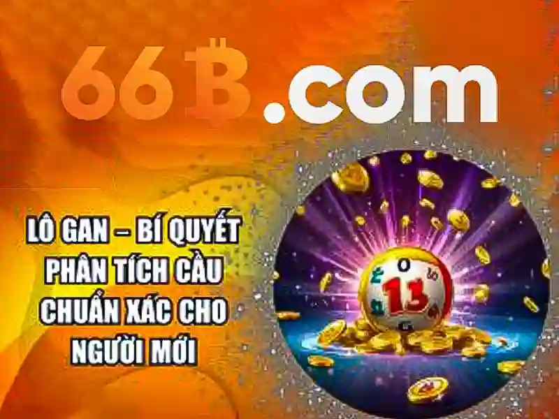 Cach ap dung 66b trong doanh nghiep va giao duc