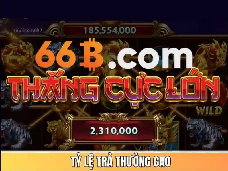 66B là gì và tại sao nổi bật?