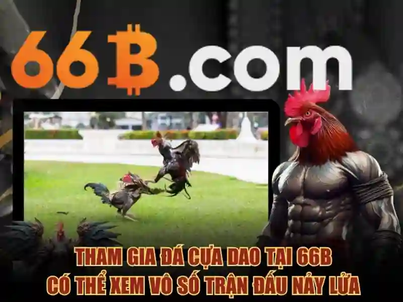 Sản phẩm và dịch vụ cốt lõi: Ứng dụng slot 66b