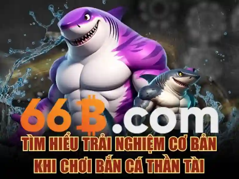 code 66b – Nguồn gốc và hành trình phát triển