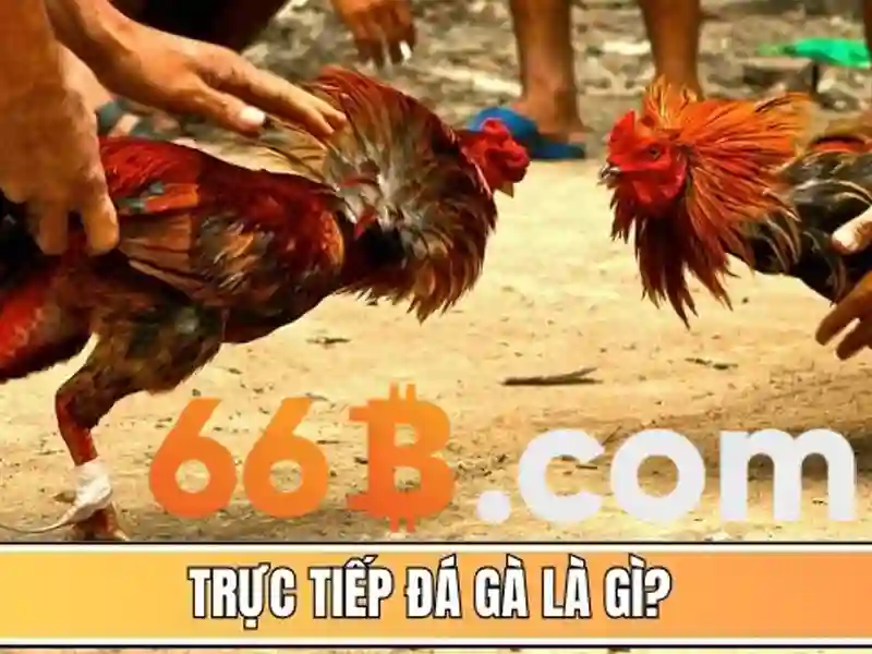 Kiến trúc và tham số