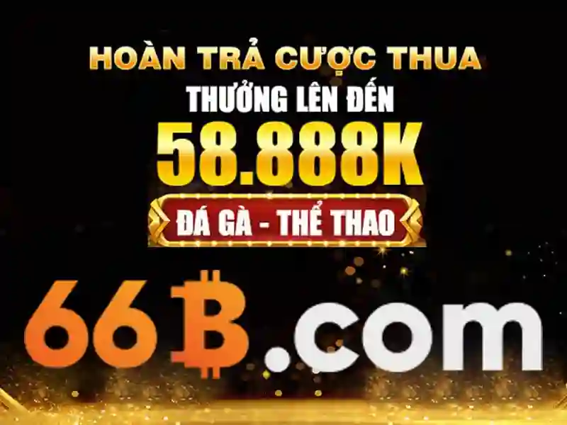 66b hạ long – Hành trình thương hiệu và trải nghiệm đột phá