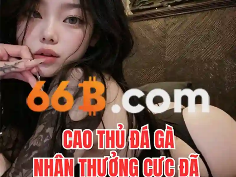 66b chính thức – Dấu ấn thương hiệu và hành trình đổi mới đầy cảm hứng